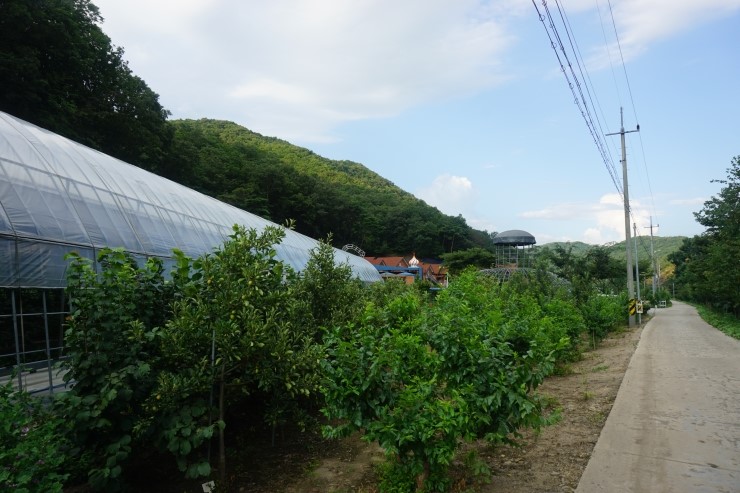 산모랭이풀내음 이미지