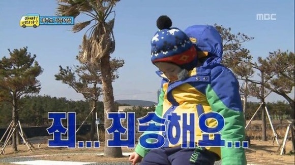 한라도니 이미지