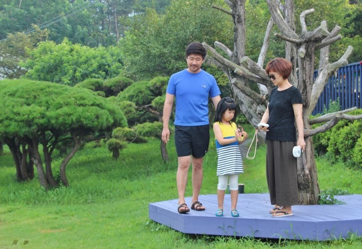더나무 이미지