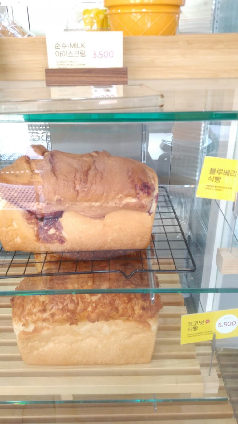 쵸쵸 이미지