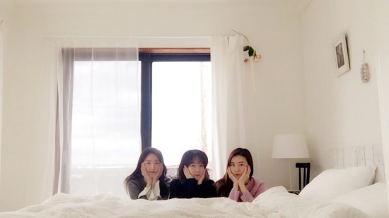 스테이동백 이미지