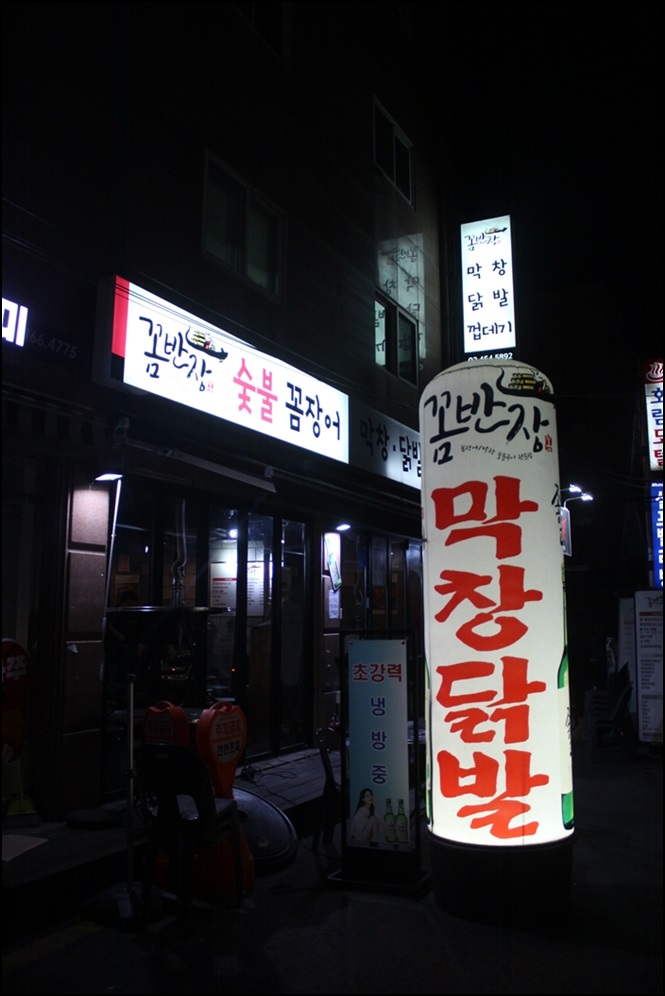 꼼돼지 이미지