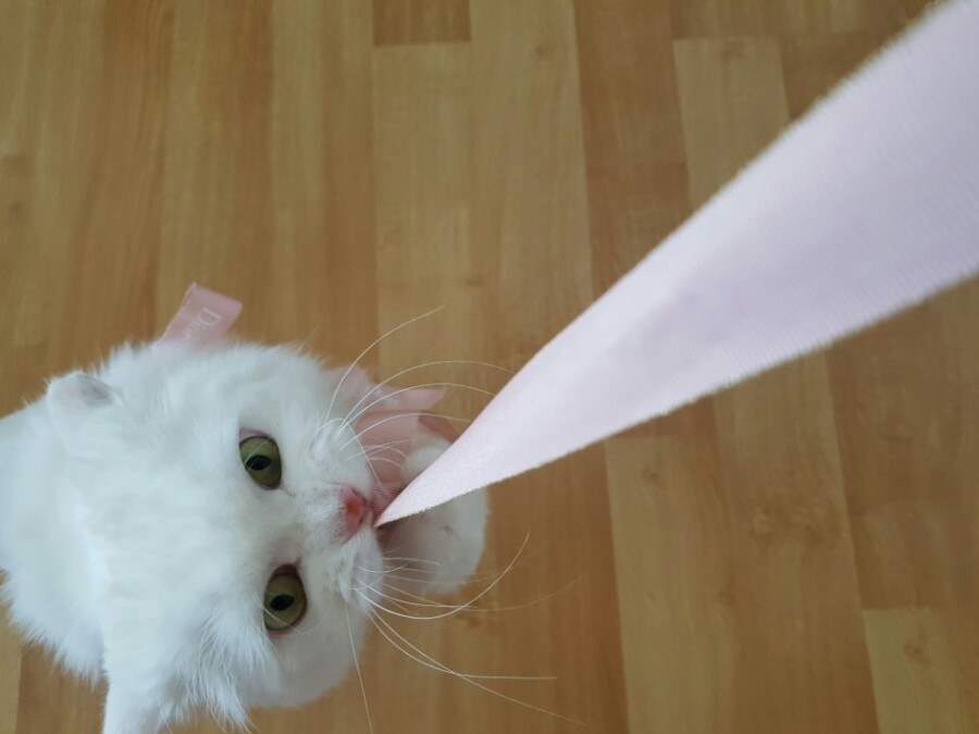 카페315 이미지