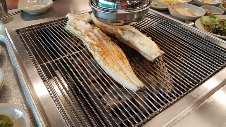 다도장어 이미지