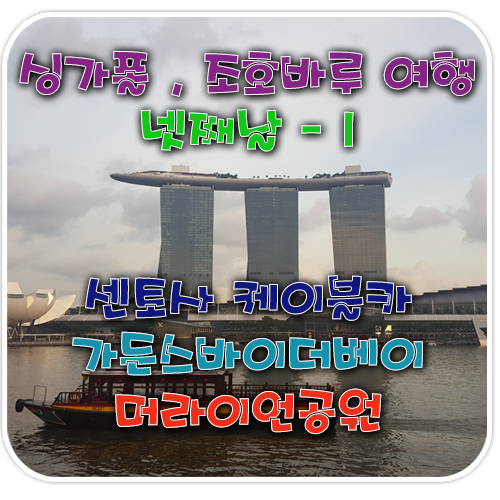 바이더카 이미지