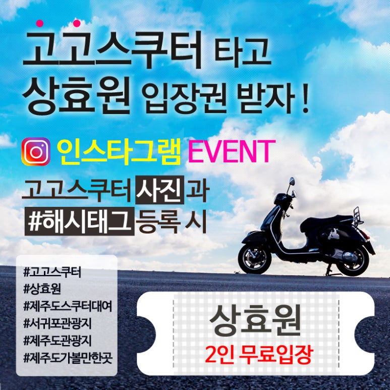 스쿠터꽃 이미지