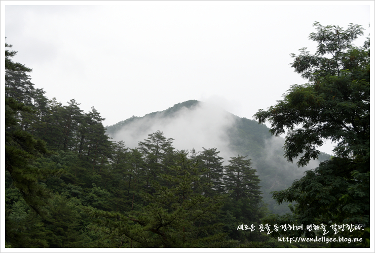 추추찹쌀도넛 이미지