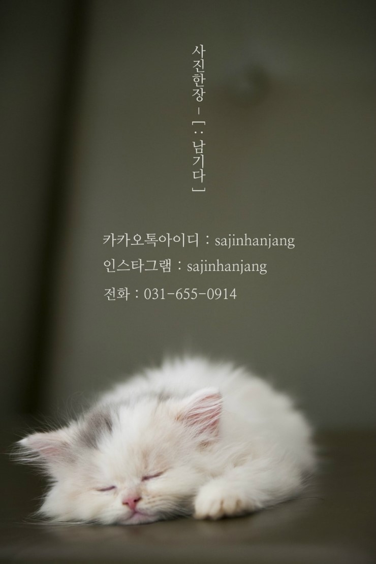 합정동사진관 이미지