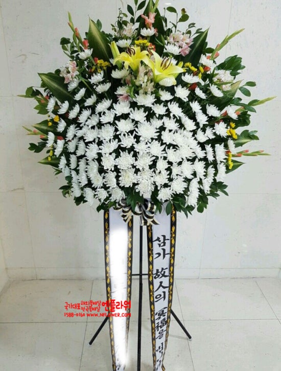 국가대표꽃배달엔플라워 이미지