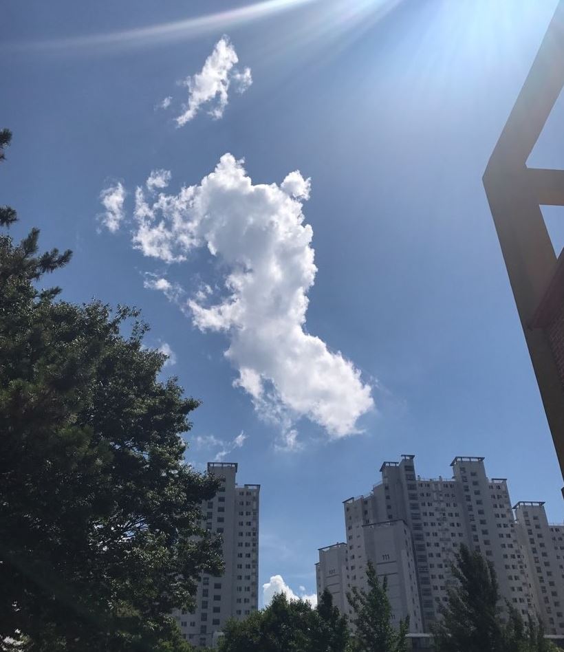 고고렌트카주 이미지