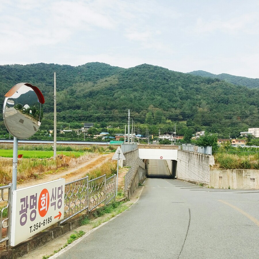 광명회식당 이미지