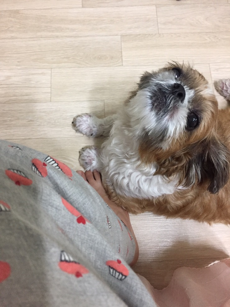 와라쉼터 이미지