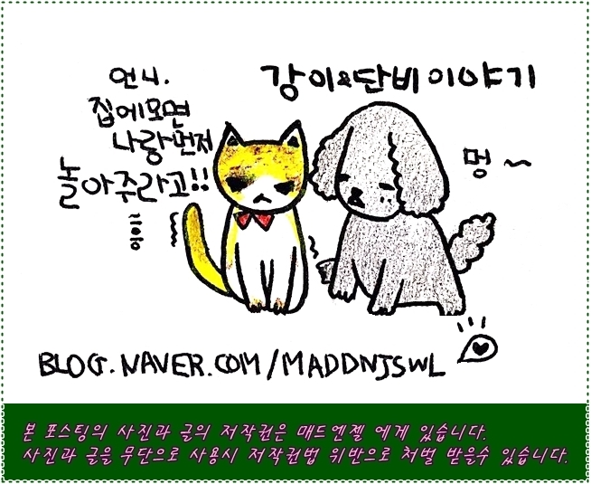 헬로팬김해 이미지
