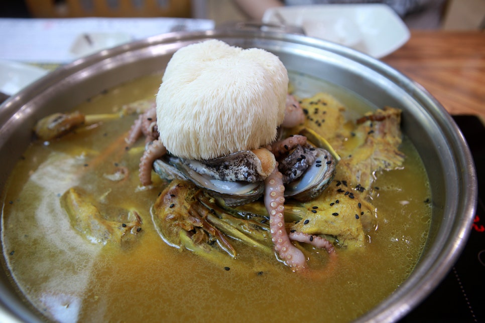 황칠오리 이미지