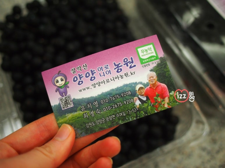 설악산아로니아 이미지