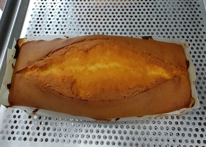 모모샘 이미지