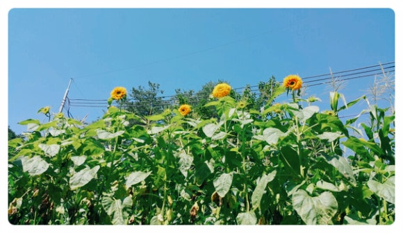 물마루 캠핑장 이미지