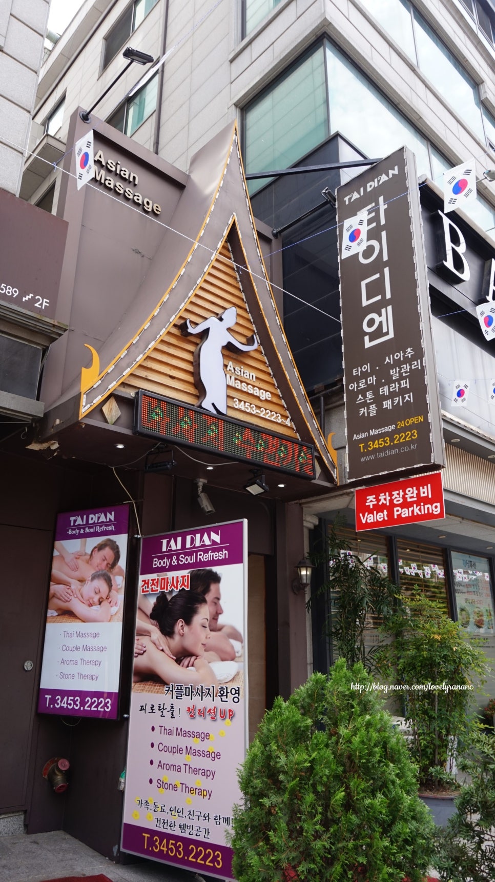 타이디엔 이미지