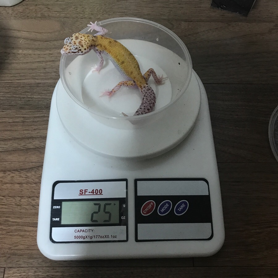 해니옐로우 이미지