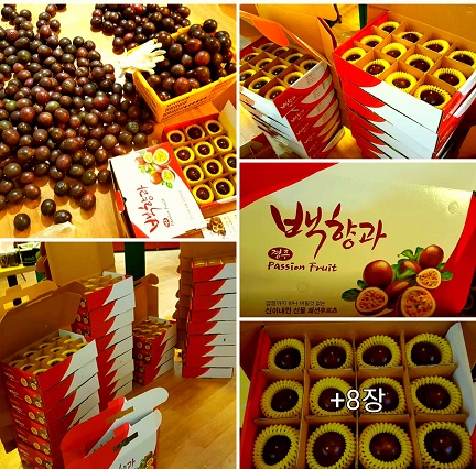 유로빌 이미지