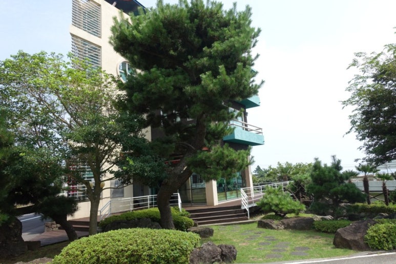 대포동산횟집별관 이미지
