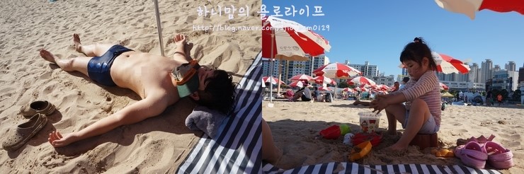 미싱도로록 이미지