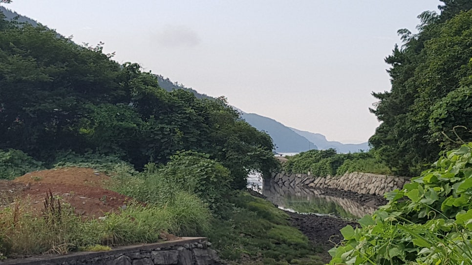 두모밤 이미지