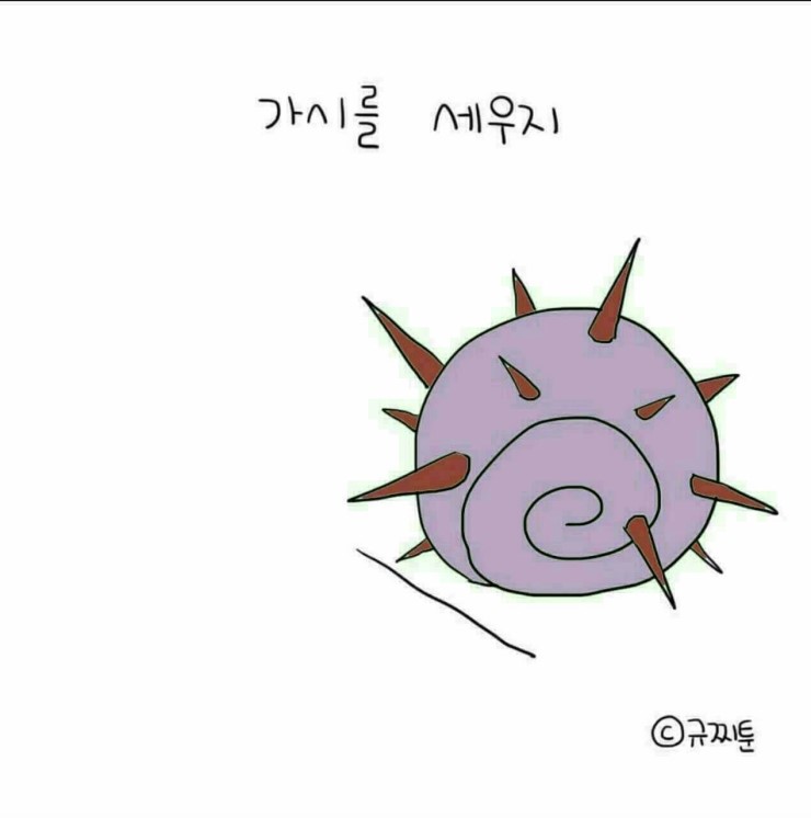창꼬 이미지