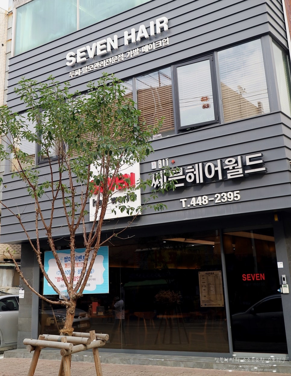 세븐헤어월드 이미지