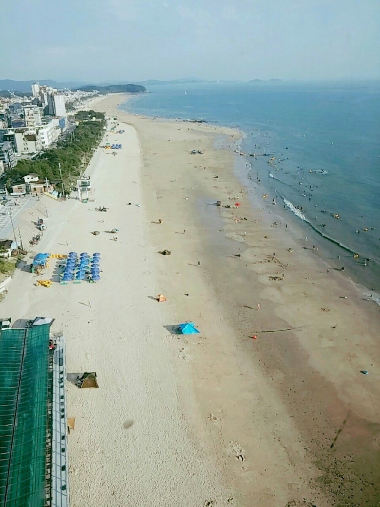 이종환의쉘부르 이미지