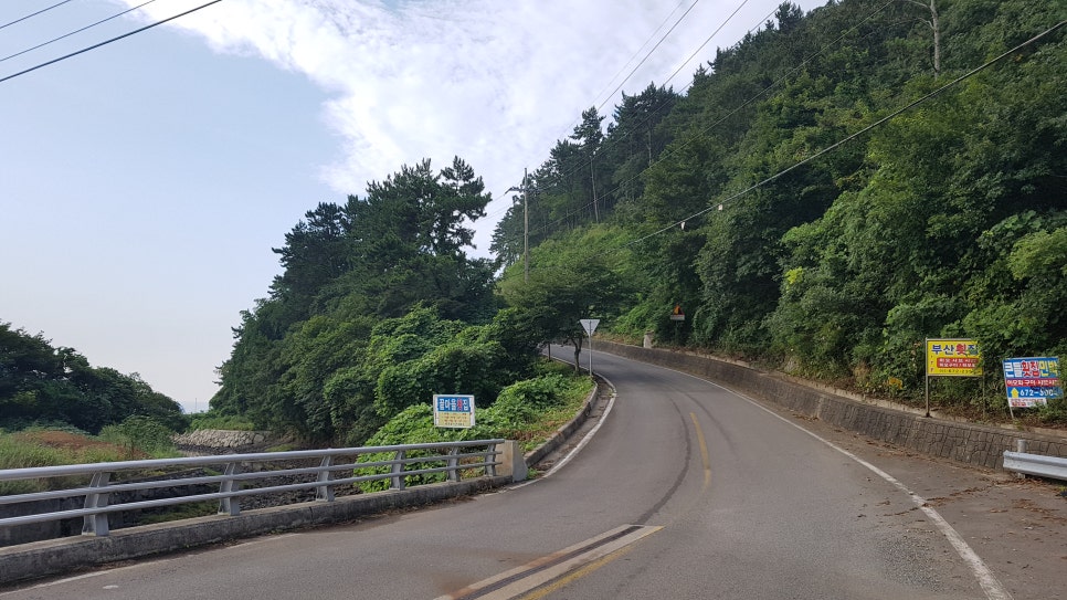 두모밤 이미지