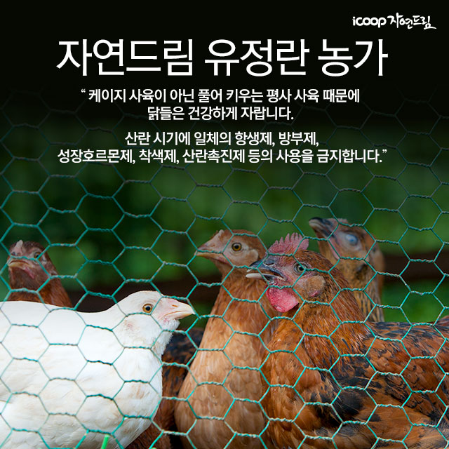 자연드림 이미지
