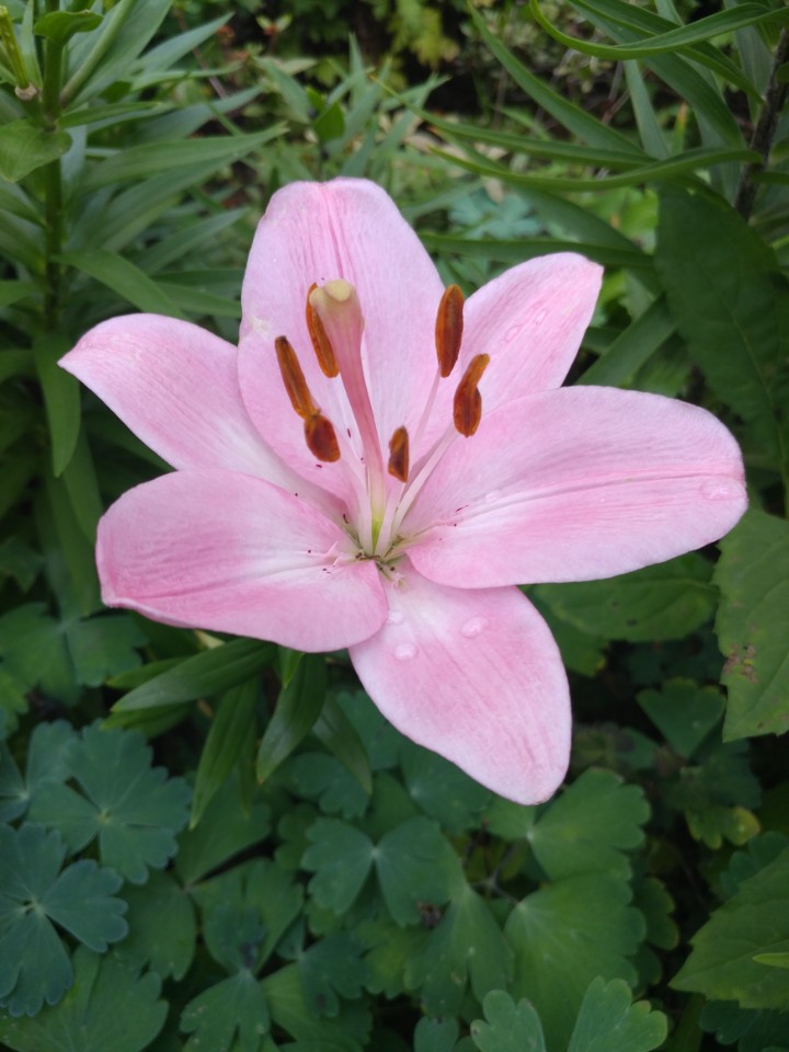 (주)이슬환경 이미지