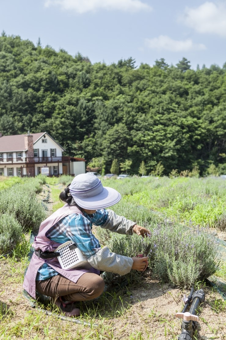 국제허브아카데미 이미지