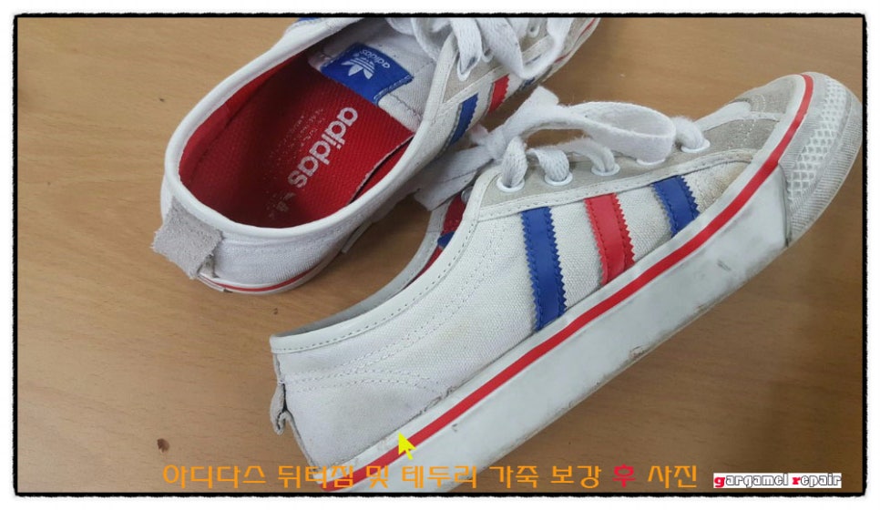두리수선 이미지