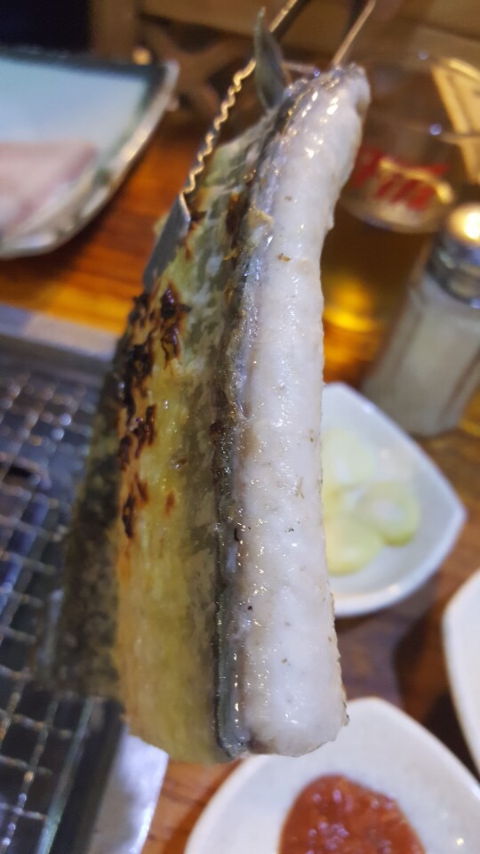 89장어 이미지