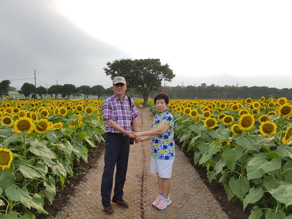그리다투어&버스 이미지