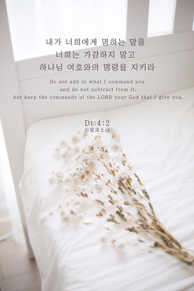 띠자인 이미지