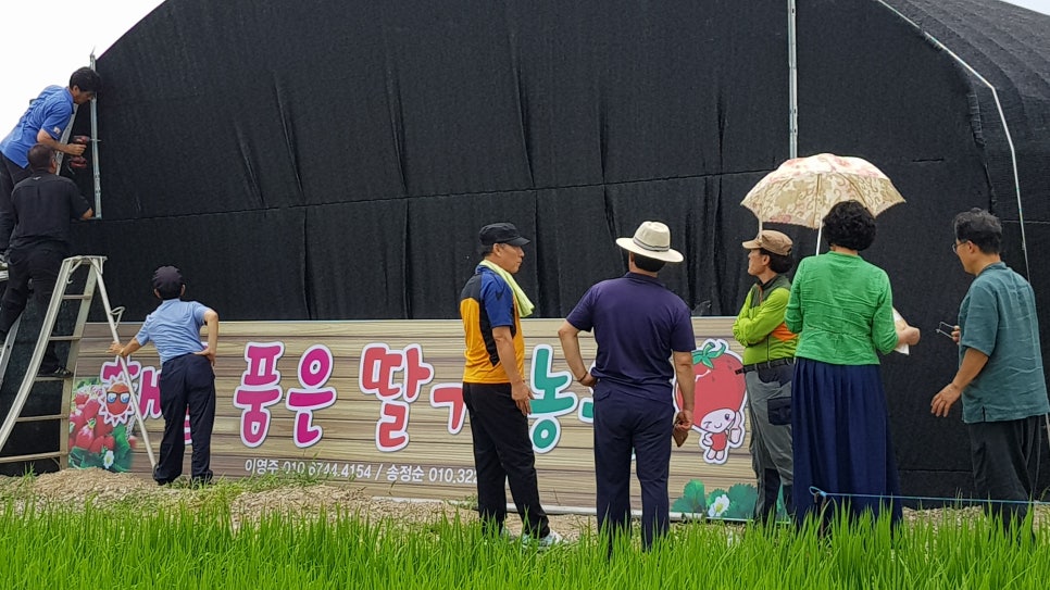 해를 품은 딸기농원 이미지