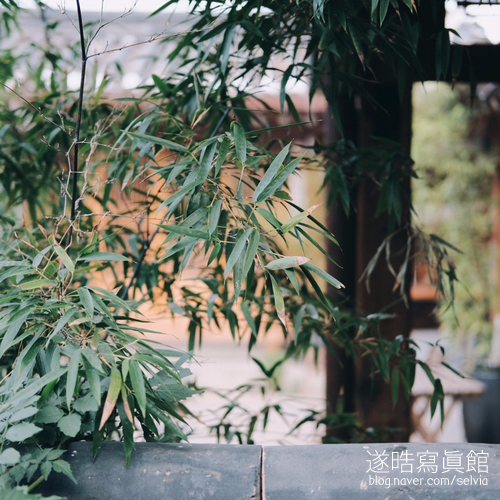 풍경꽃방 이미지