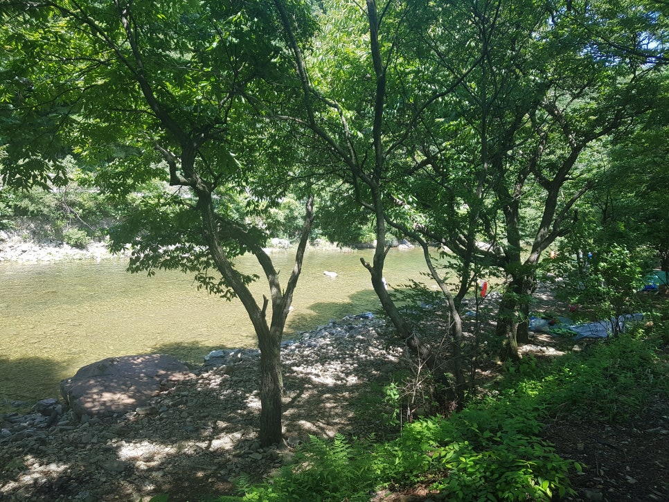 계곡일번지 이미지