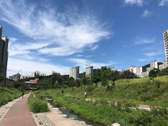 금자네족발 이미지