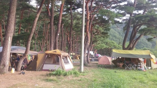 솔밭펜션 이미지