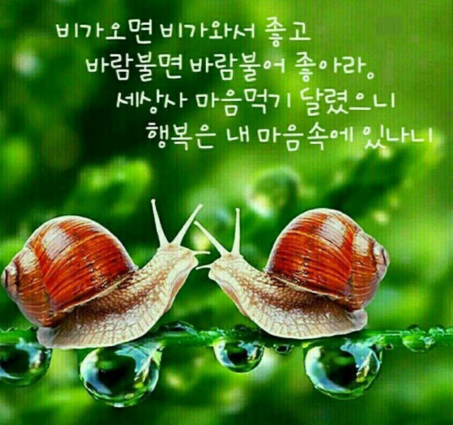오늘도예쁜하루 이미지
