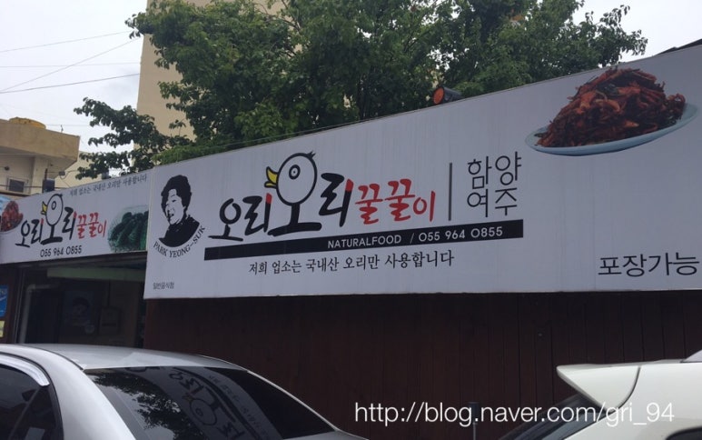 오리와꿀꿀이 이미지