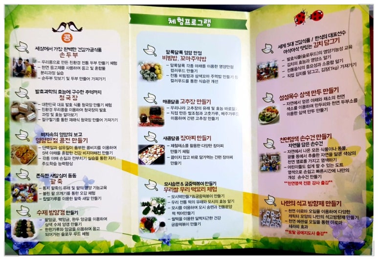 도비문화예술체험학교 이미지