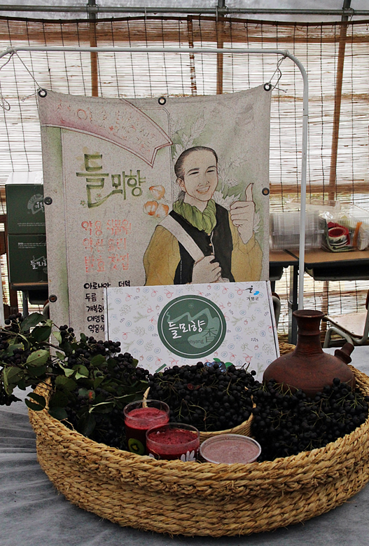 들뫼향 이미지