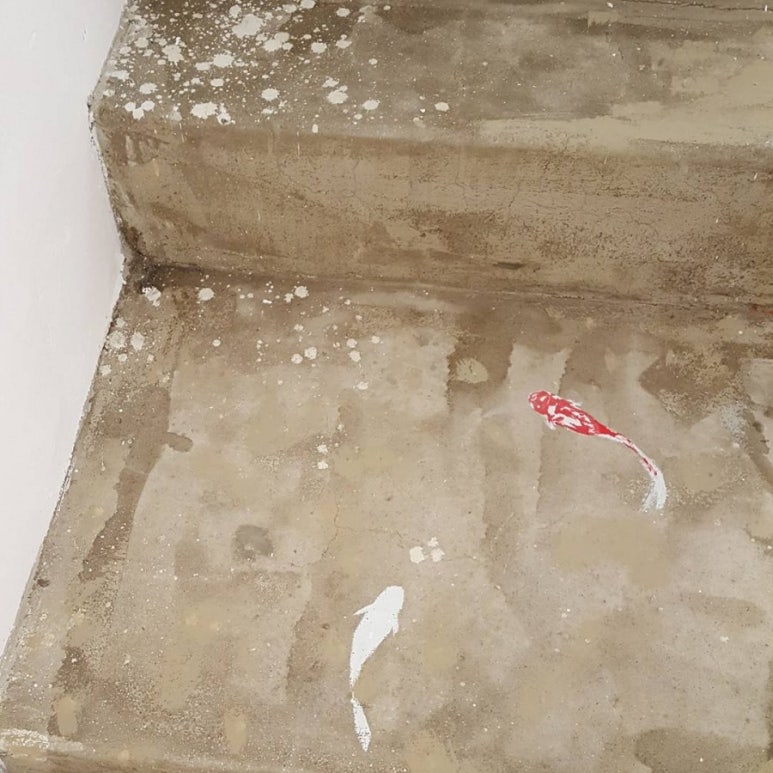 노블무인텔 이미지