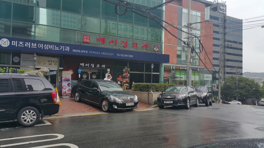 베이징코야주 이미지