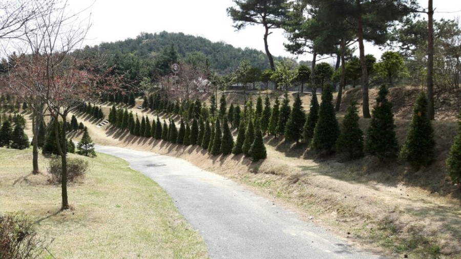 스위스장 이미지
